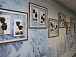 «Рождённая из недр земли»: выставка, посвящённая керамике, открылась в Музее Белого озера